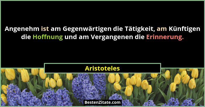 Angenehm ist am Gegenwärtigen die Tätigkeit, am Künftigen die Hoffnung und am Vergangenen die Erinnerung.... - Aristoteles