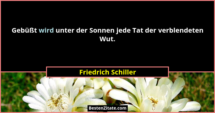 Gebüßt wird unter der Sonnen jede Tat der verblendeten Wut.... - Friedrich Schiller