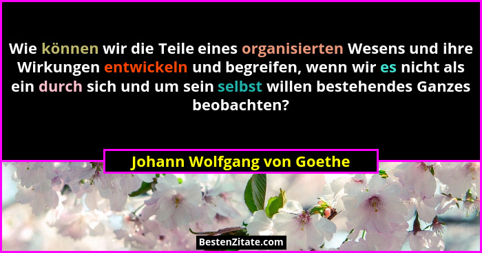 Wie können wir die Teile eines organisierten Wesens und ihre Wirkungen entwickeln und begreifen, wenn wir es nicht als ei... - Johann Wolfgang von Goethe