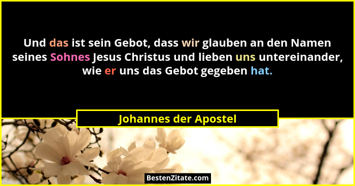 Und das ist sein Gebot, dass wir glauben an den Namen seines Sohnes Jesus Christus und lieben uns untereinander, wie er uns das... - Johannes der Apostel