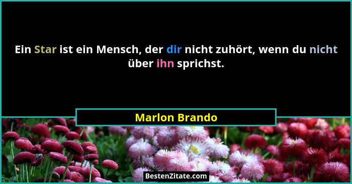 Ein Star ist ein Mensch, der dir nicht zuhört, wenn du nicht über ihn sprichst.... - Marlon Brando