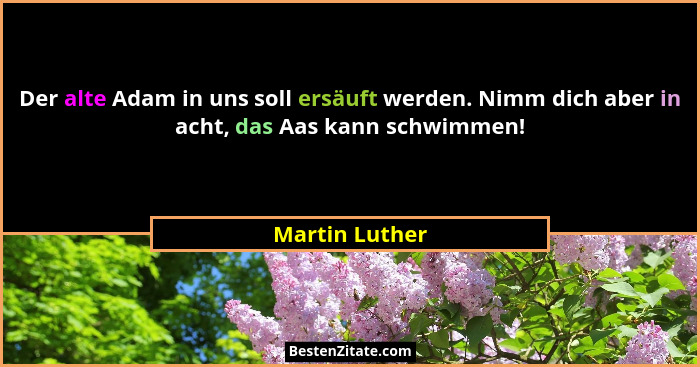 Der alte Adam in uns soll ersäuft werden. Nimm dich aber in acht, das Aas kann schwimmen!... - Martin Luther