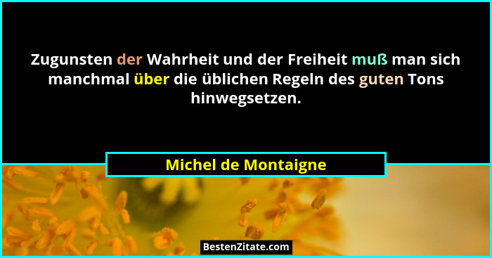 Zugunsten der Wahrheit und der Freiheit muß man sich manchmal über die üblichen Regeln des guten Tons hinwegsetzen.... - Michel de Montaigne