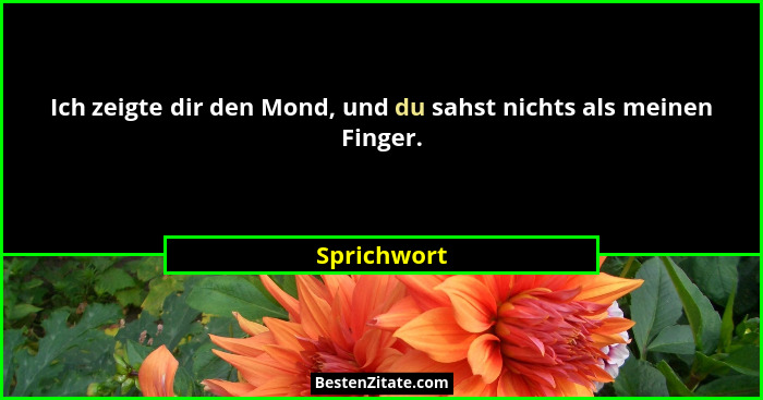 Ich zeigte dir den Mond, und du sahst nichts als meinen Finger.... - Sprichwort