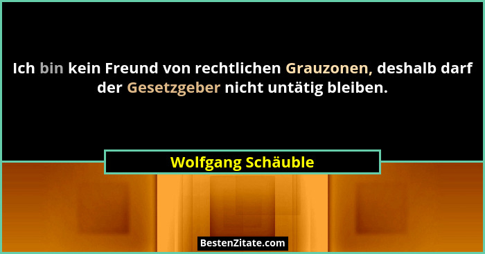 Ich bin kein Freund von rechtlichen Grauzonen, deshalb darf der Gesetzgeber nicht untätig bleiben.... - Wolfgang Schäuble
