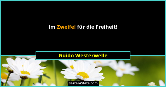 Im Zweifel für die Freiheit!... - Guido Westerwelle