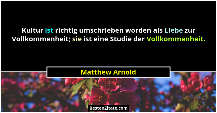 Kultur ist richtig umschrieben worden als Liebe zur Vollkommenheit; sie ist eine Studie der Vollkommenheit.... - Matthew Arnold