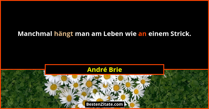 Manchmal hängt man am Leben wie an einem Strick.... - André Brie