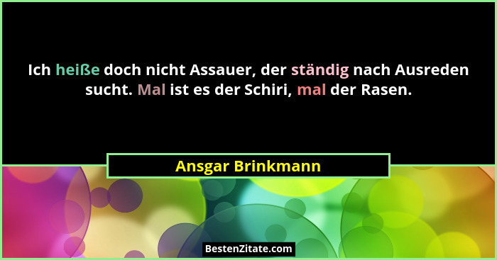 Ich heiße doch nicht Assauer, der ständig nach Ausreden sucht. Mal ist es der Schiri, mal der Rasen.... - Ansgar Brinkmann