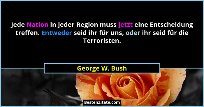 Jede Nation in jeder Region muss jetzt eine Entscheidung treffen. Entweder seid ihr für uns, oder ihr seid für die Terroristen.... - George W. Bush