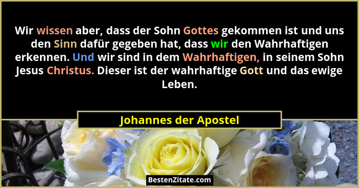 Wir wissen aber, dass der Sohn Gottes gekommen ist und uns den Sinn dafür gegeben hat, dass wir den Wahrhaftigen erkennen. Und... - Johannes der Apostel