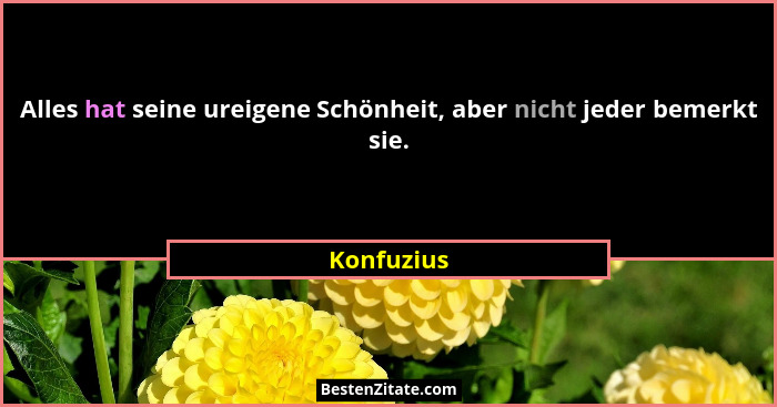 Alles hat seine ureigene Schönheit, aber nicht jeder bemerkt sie.... - Konfuzius
