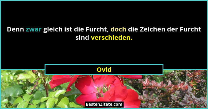 Denn zwar gleich ist die Furcht, doch die Zeichen der Furcht sind verschieden.... - Ovid
