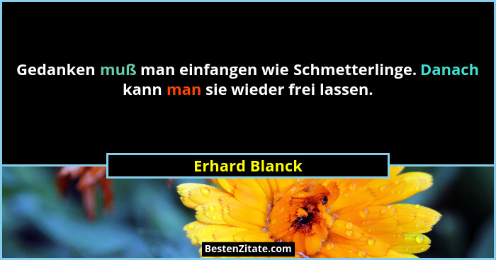 Gedanken muß man einfangen wie Schmetterlinge. Danach kann man sie wieder frei lassen.... - Erhard Blanck