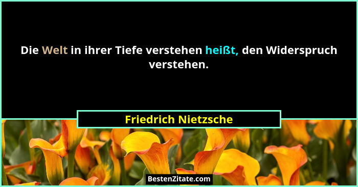 Die Welt in ihrer Tiefe verstehen heißt, den Widerspruch verstehen.... - Friedrich Nietzsche