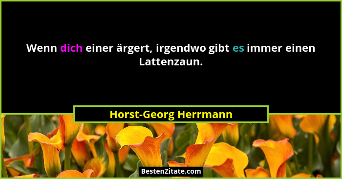 Wenn dich einer ärgert, irgendwo gibt es immer einen Lattenzaun.... - Horst-Georg Herrmann