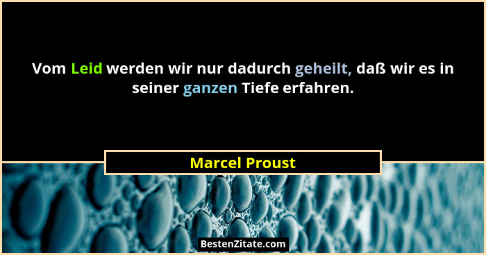 Vom Leid werden wir nur dadurch geheilt, daß wir es in seiner ganzen Tiefe erfahren.... - Marcel Proust