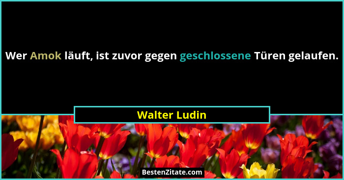 Wer Amok läuft, ist zuvor gegen geschlossene Türen gelaufen.... - Walter Ludin