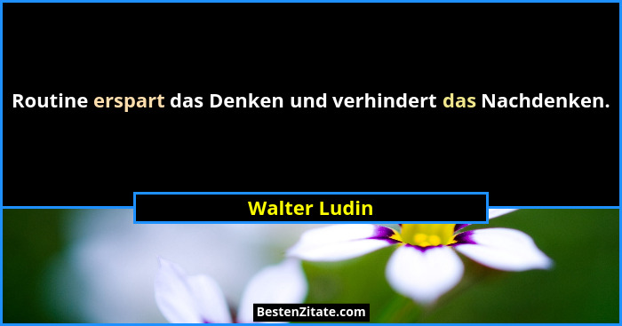 Routine erspart das Denken und verhindert das Nachdenken.... - Walter Ludin