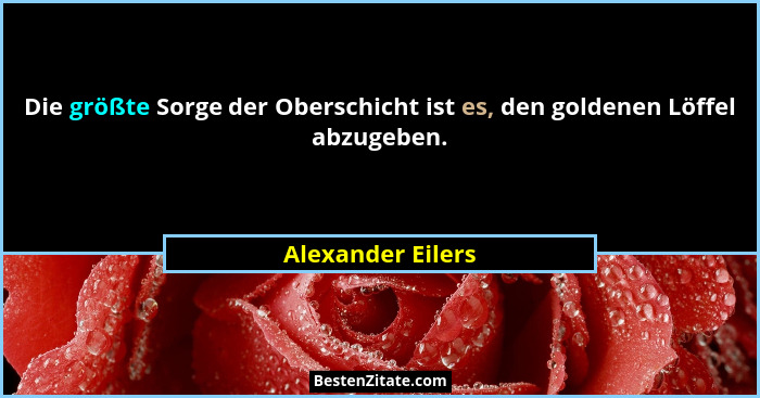 Die größte Sorge der Oberschicht ist es, den goldenen Löffel abzugeben.... - Alexander Eilers