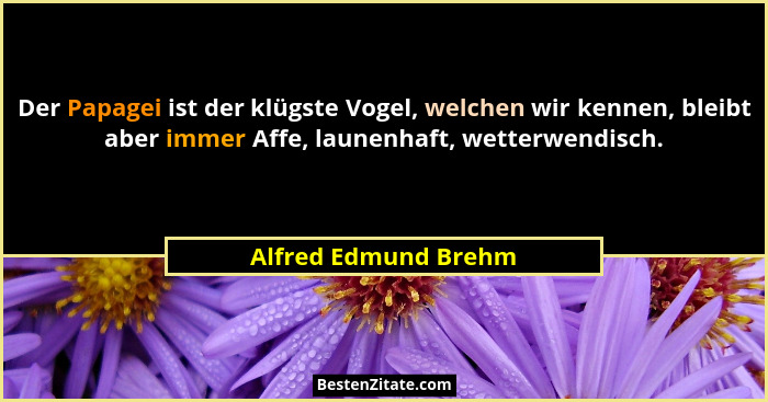 Der Papagei ist der klügste Vogel, welchen wir kennen, bleibt aber immer Affe, launenhaft, wetterwendisch.... - Alfred Edmund Brehm