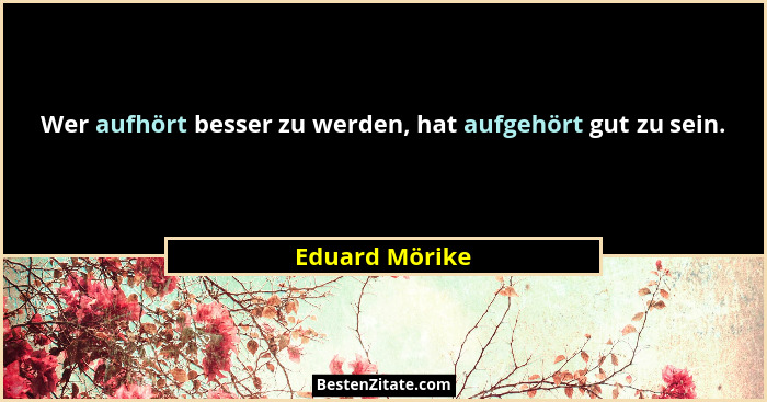 Wer aufhört besser zu werden, hat aufgehört gut zu sein.... - Eduard Mörike