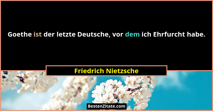 Goethe ist der letzte Deutsche, vor dem ich Ehrfurcht habe.... - Friedrich Nietzsche