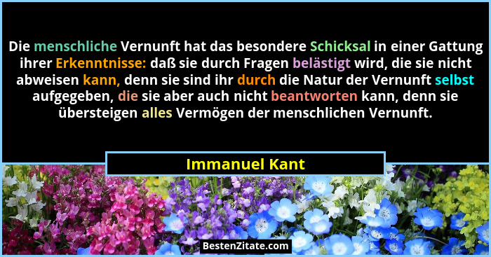 Die menschliche Vernunft hat das besondere Schicksal in einer Gattung ihrer Erkenntnisse: daß sie durch Fragen belästigt wird, die sie... - Immanuel Kant