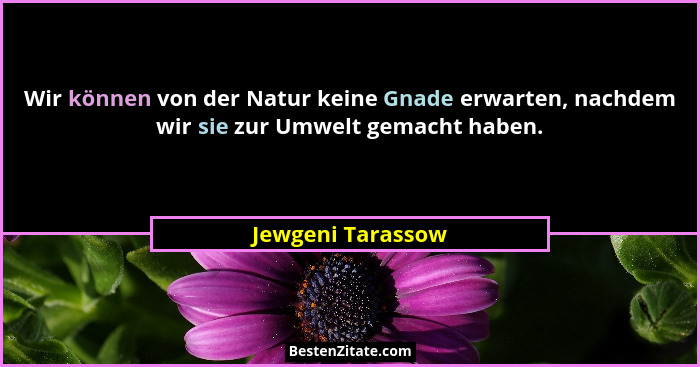 Wir können von der Natur keine Gnade erwarten, nachdem wir sie zur Umwelt gemacht haben.... - Jewgeni Tarassow