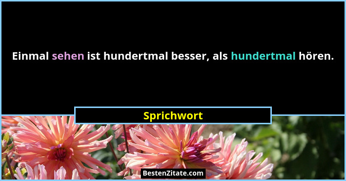 Einmal sehen ist hundertmal besser, als hundertmal hören.... - Sprichwort