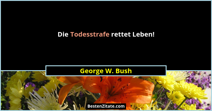 Die Todesstrafe rettet Leben!... - George W. Bush