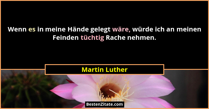 Wenn es in meine Hände gelegt wäre, würde ich an meinen Feinden tüchtig Rache nehmen.... - Martin Luther