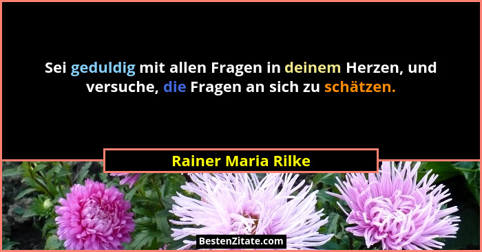 Sei geduldig mit allen Fragen in deinem Herzen, und versuche, die Fragen an sich zu schätzen.... - Rainer Maria Rilke