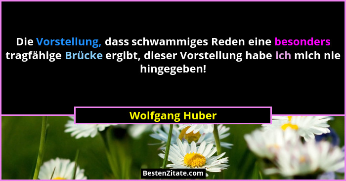 Die Vorstellung, dass schwammiges Reden eine besonders tragfähige Brücke ergibt, dieser Vorstellung habe ich mich nie hingegeben!... - Wolfgang Huber