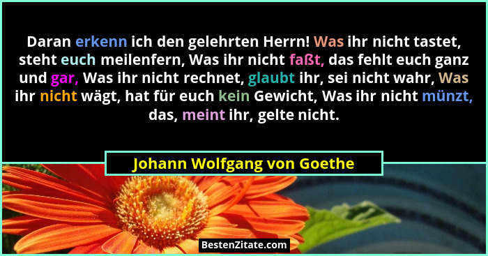 Daran erkenn ich den gelehrten Herrn! Was ihr nicht tastet, steht euch meilenfern, Was ihr nicht faßt, das fehlt euch gan... - Johann Wolfgang von Goethe