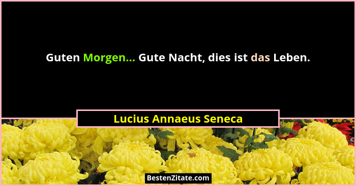 Guten Morgen... Gute Nacht, dies ist das Leben.... - Lucius Annaeus Seneca