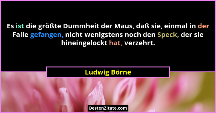 Es ist die größte Dummheit der Maus, daß sie, einmal in der Falle gefangen, nicht wenigstens noch den Speck, der sie hineingelockt hat,... - Ludwig Börne