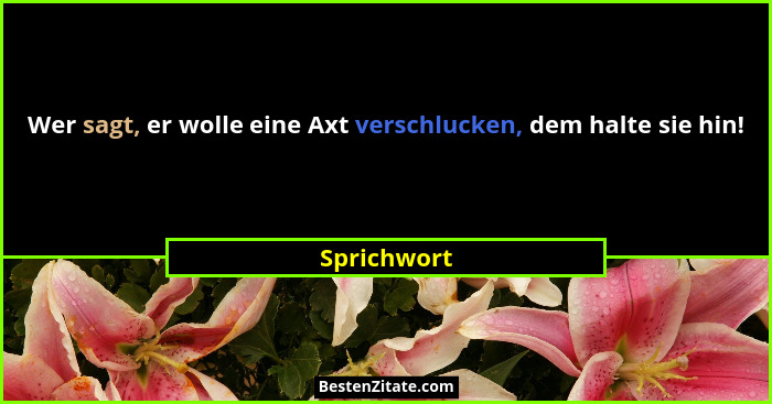 Wer sagt, er wolle eine Axt verschlucken, dem halte sie hin!... - Sprichwort