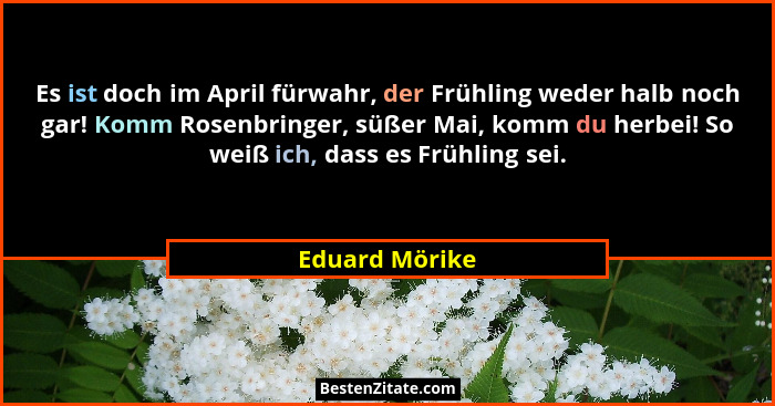 Es ist doch im April fürwahr, der Frühling weder halb noch gar! Komm Rosenbringer, süßer Mai, komm du herbei! So weiß ich, dass es Frü... - Eduard Mörike