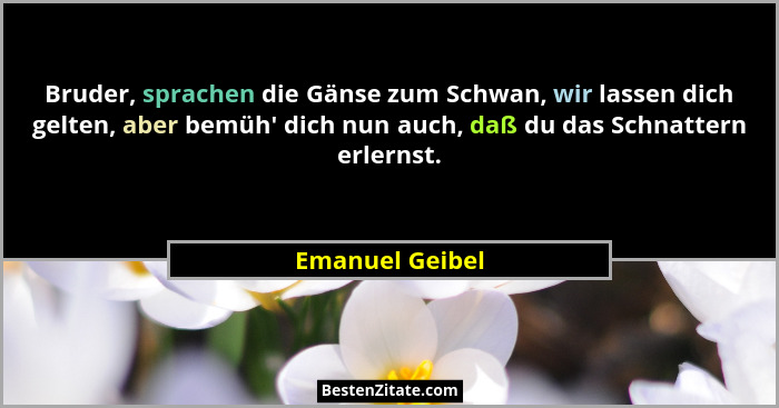 Bruder, sprachen die Gänse zum Schwan, wir lassen dich gelten, aber bemüh' dich nun auch, daß du das Schnattern erlernst.... - Emanuel Geibel
