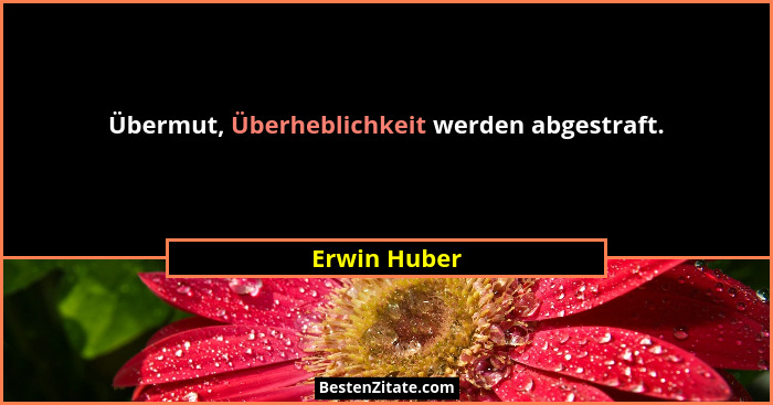 Übermut, Überheblichkeit werden abgestraft.... - Erwin Huber