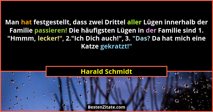 Man hat festgestellt, dass zwei Drittel aller Lügen innerhalb der Familie passieren! Die häufigsten Lügen in der Familie sind 1. "... - Harald Schmidt