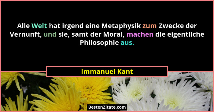 Alle Welt hat irgend eine Metaphysik zum Zwecke der Vernunft, und sie, samt der Moral, machen die eigentliche Philosophie aus.... - Immanuel Kant
