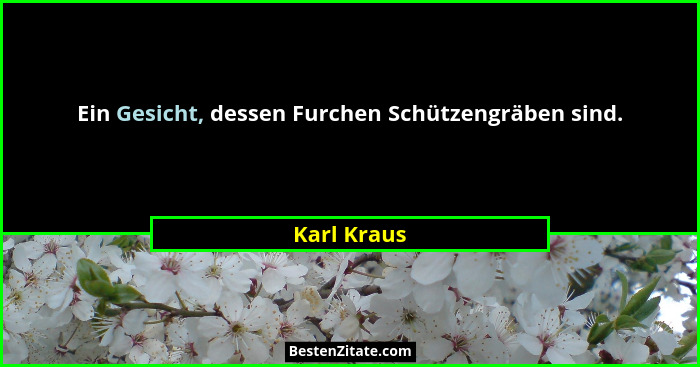 Ein Gesicht, dessen Furchen Schützengräben sind.... - Karl Kraus