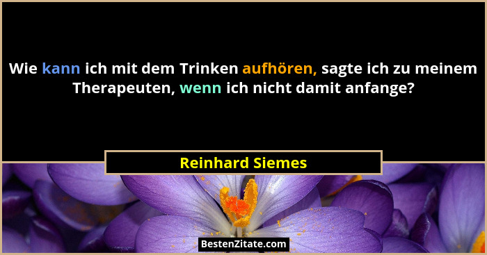 Wie kann ich mit dem Trinken aufhören, sagte ich zu meinem Therapeuten, wenn ich nicht damit anfange?... - Reinhard Siemes