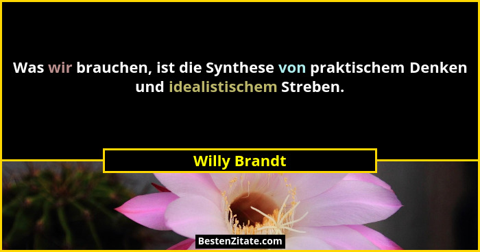 Was wir brauchen, ist die Synthese von praktischem Denken und idealistischem Streben.... - Willy Brandt