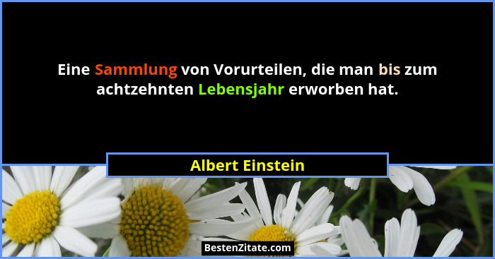 Eine Sammlung von Vorurteilen, die man bis zum achtzehnten Lebensjahr erworben hat.... - Albert Einstein