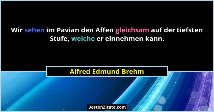 Wir sehen im Pavian den Affen gleichsam auf der tiefsten Stufe, welche er einnehmen kann.... - Alfred Edmund Brehm