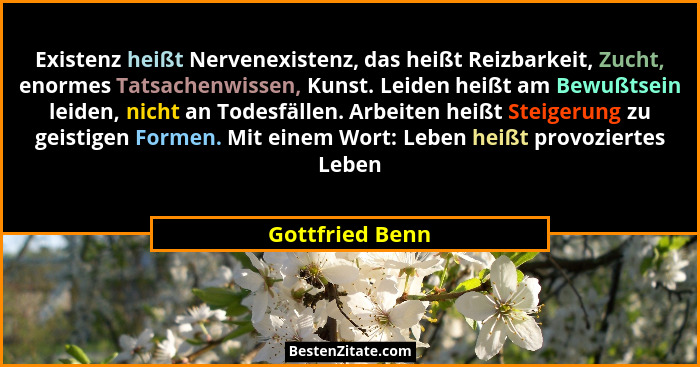 Existenz heißt Nervenexistenz, das heißt Reizbarkeit, Zucht, enormes Tatsachenwissen, Kunst. Leiden heißt am Bewußtsein leiden, nicht... - Gottfried Benn