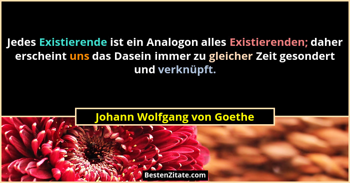 Jedes Existierende ist ein Analogon alles Existierenden; daher erscheint uns das Dasein immer zu gleicher Zeit gesondert... - Johann Wolfgang von Goethe